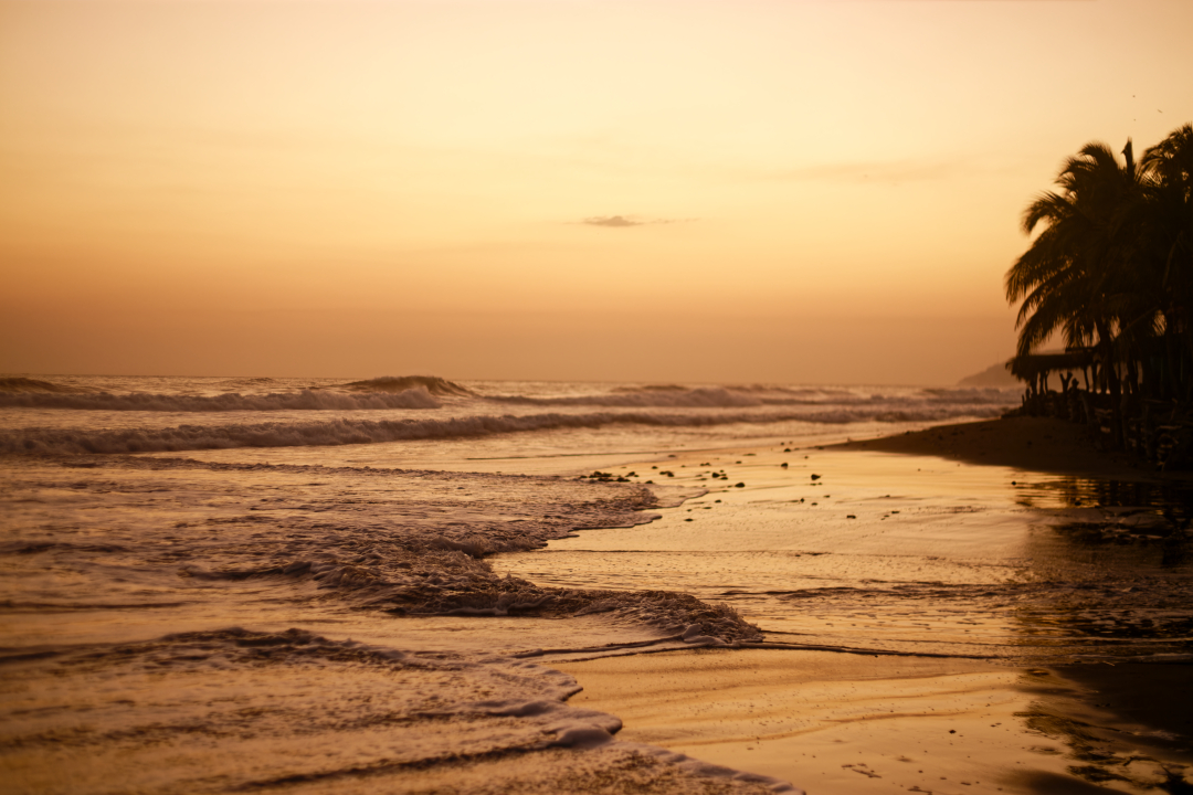 Beach Night