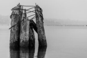 Logs