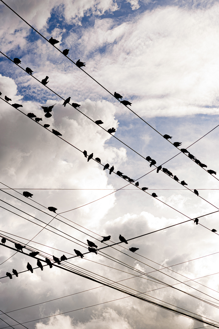 Photography - Power Lines